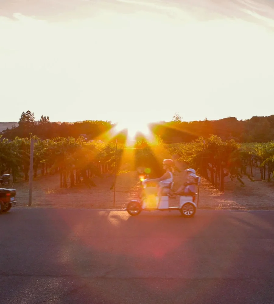 Classic Wine Country Tour
